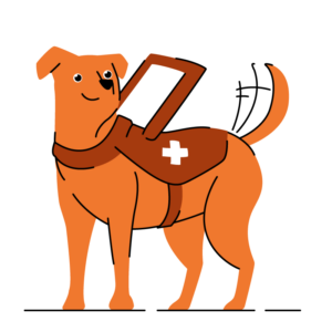 dog-breeder-illustration-6